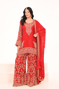 Lal Noor Sharara Suit